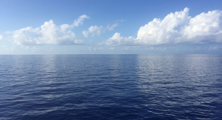horizon scene