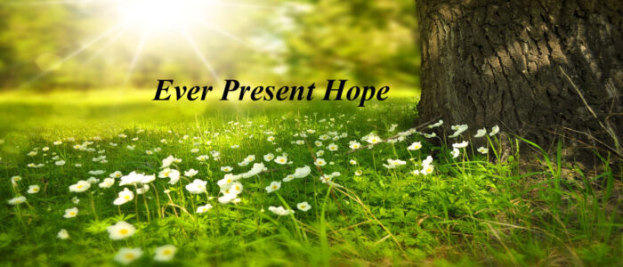Untitled-5 ever present hope