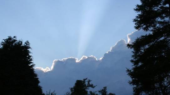 Individuation