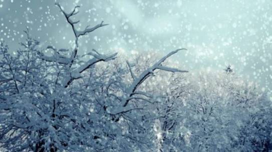 The Winter of Life