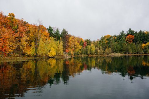 lake surrounded by trees