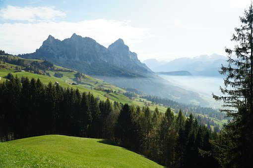 beautiful scene