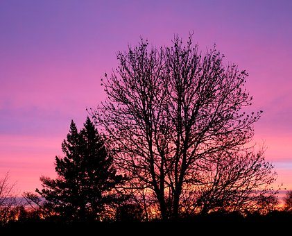twilight time