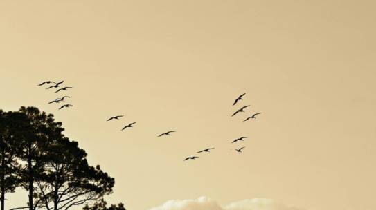 Be Watchful of Egocentricity