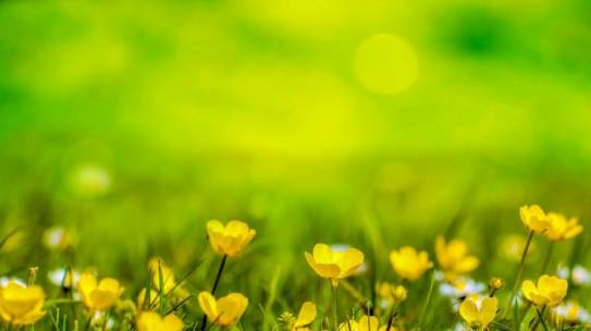 Even Small Acts of Kindness Make a Difference