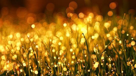 Miracles