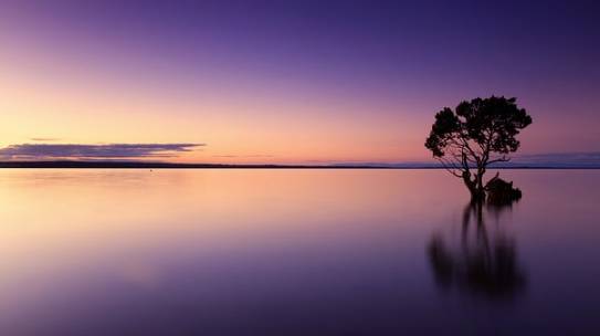 Dreams Contribute to Our Psychological Growth