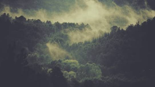Inner Wholeness