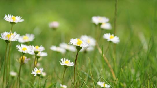 Falling Back on a Greater Hope 