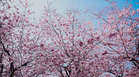 Appreciating the Present Moment
