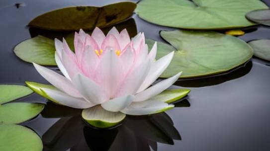 Prioritizing Inner Values 