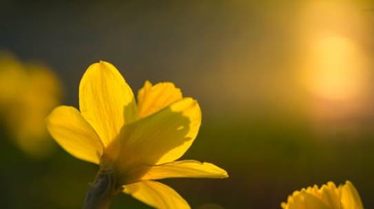 Making the Effort to Be a More Conscious Person