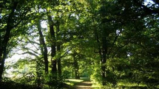 We Need Nature