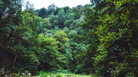 Learning to Live with Ambiguity 