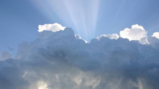 We Are Instruments of Divine Love