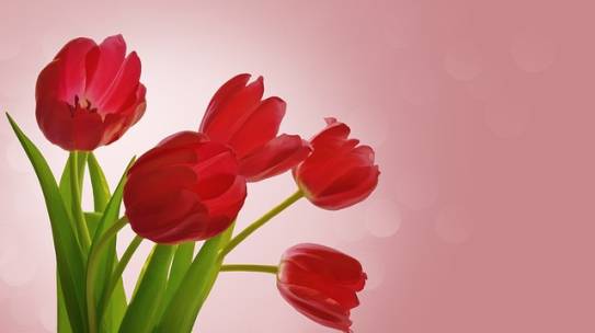 Begin with the Heart