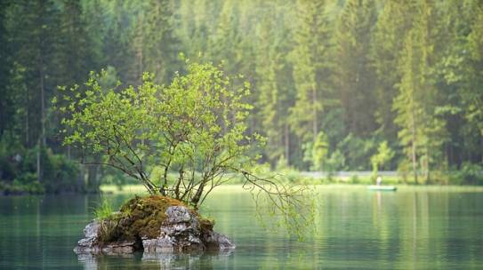 Protecting the Environment