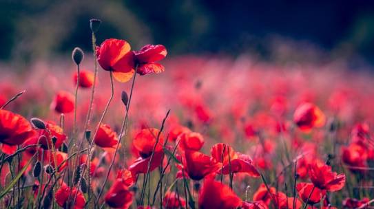 Growing in Awareness