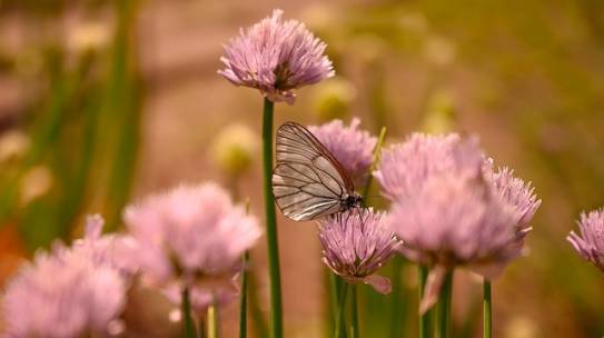 Reduce Selfishness – Become More Selfless