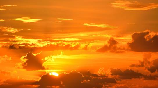 Thanking Our Creator