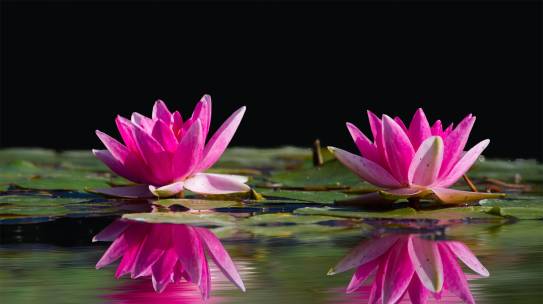 Living Life Deeply